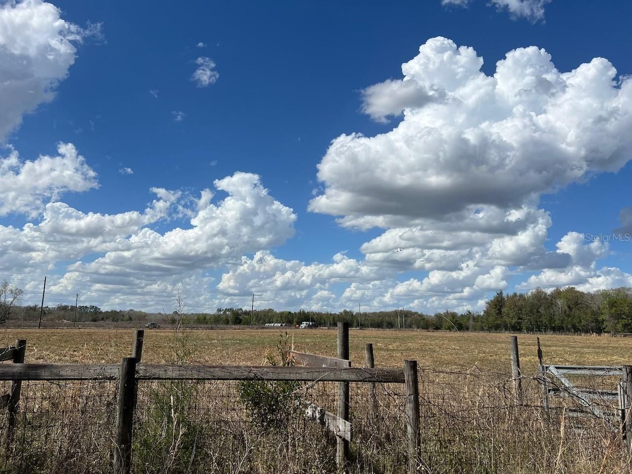 2351 NE Highway 41 , Williston, FL 32696 Photo