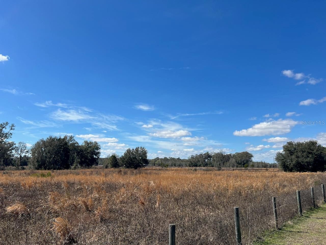 2351 NE Highway 41 , Williston, FL 32696 Photo