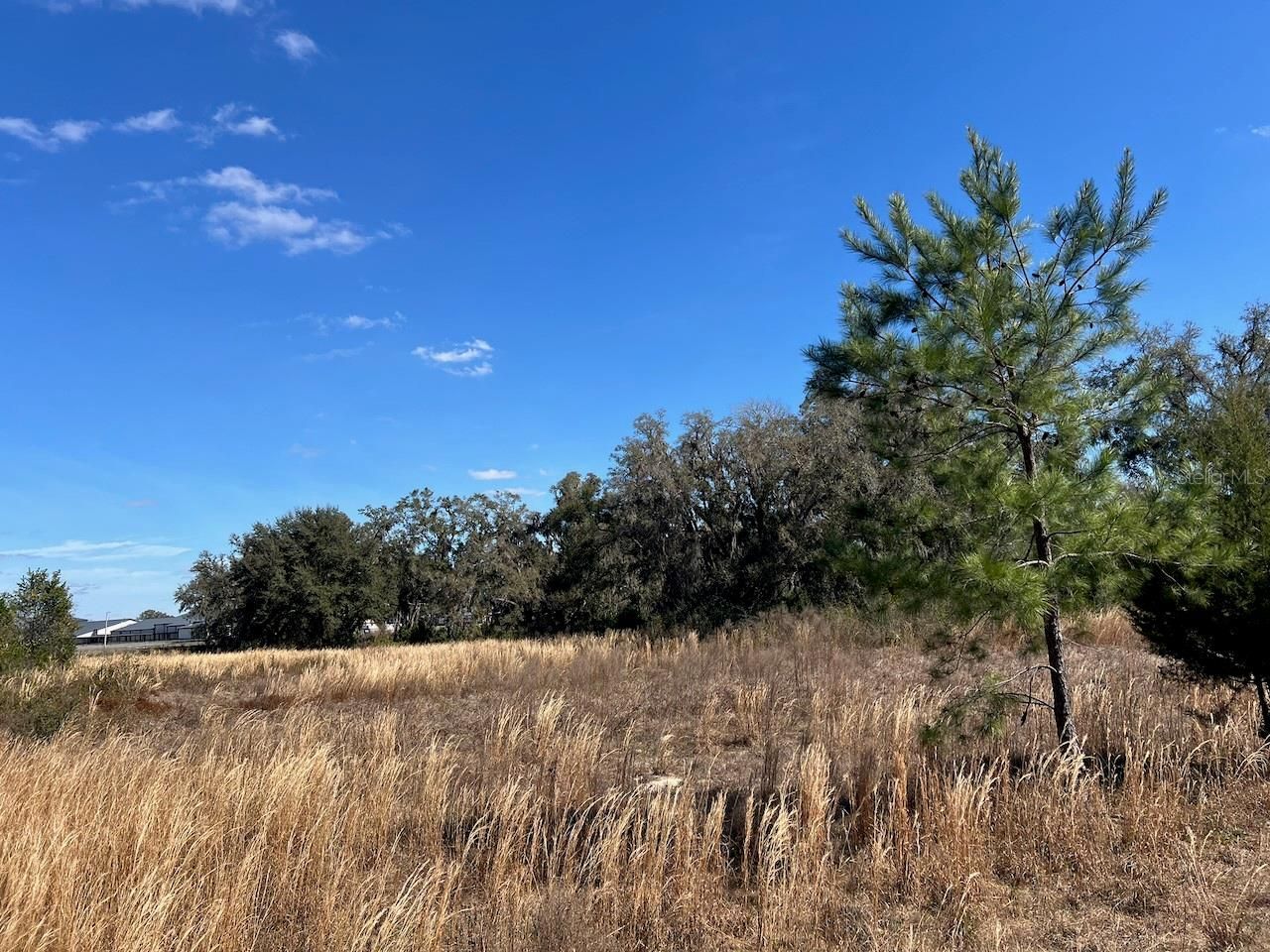 2351 NE Highway 41 , Williston, FL 32696 Photo