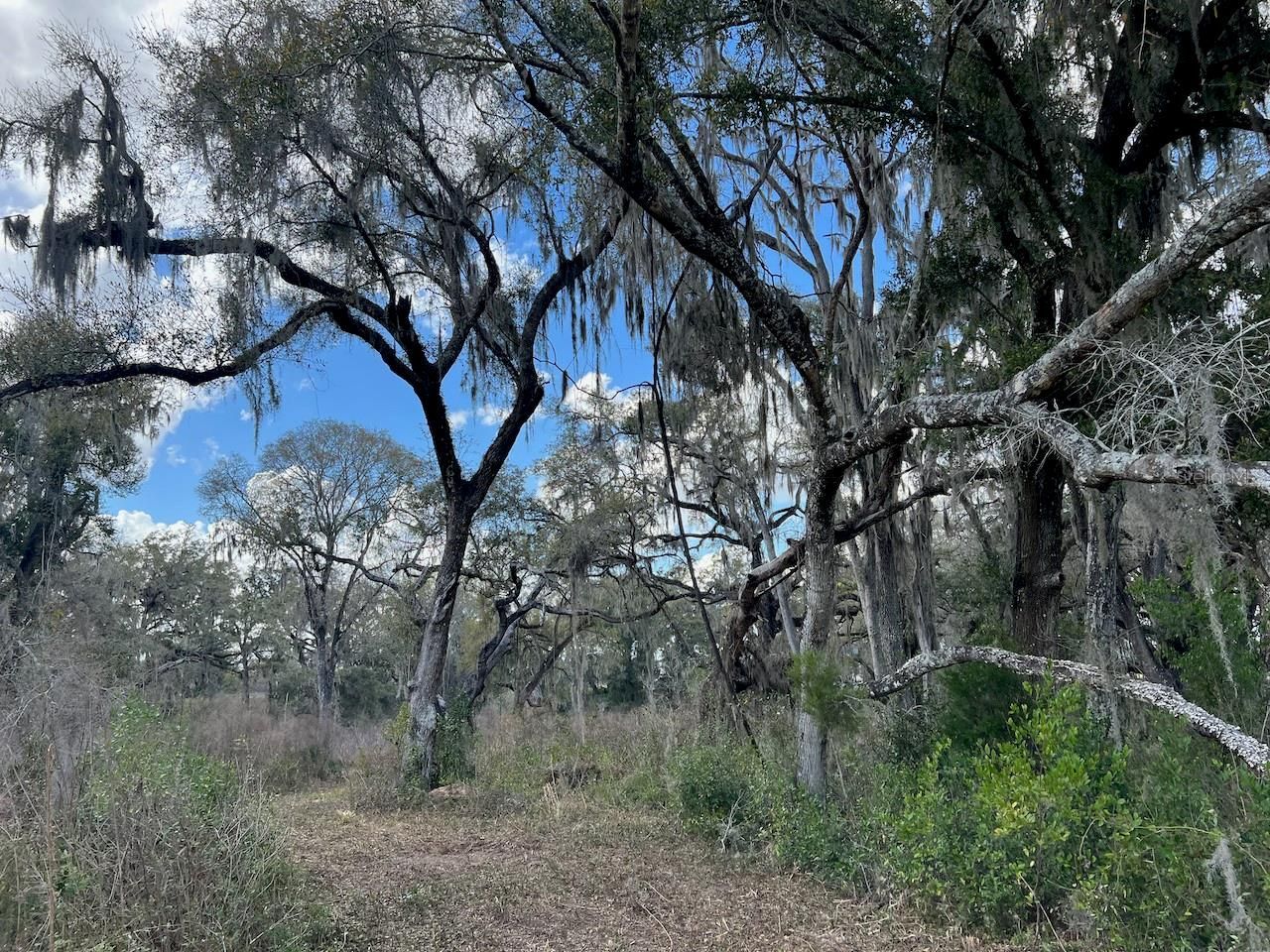 2351 NE Highway 41 , Williston, FL 32696 Photo