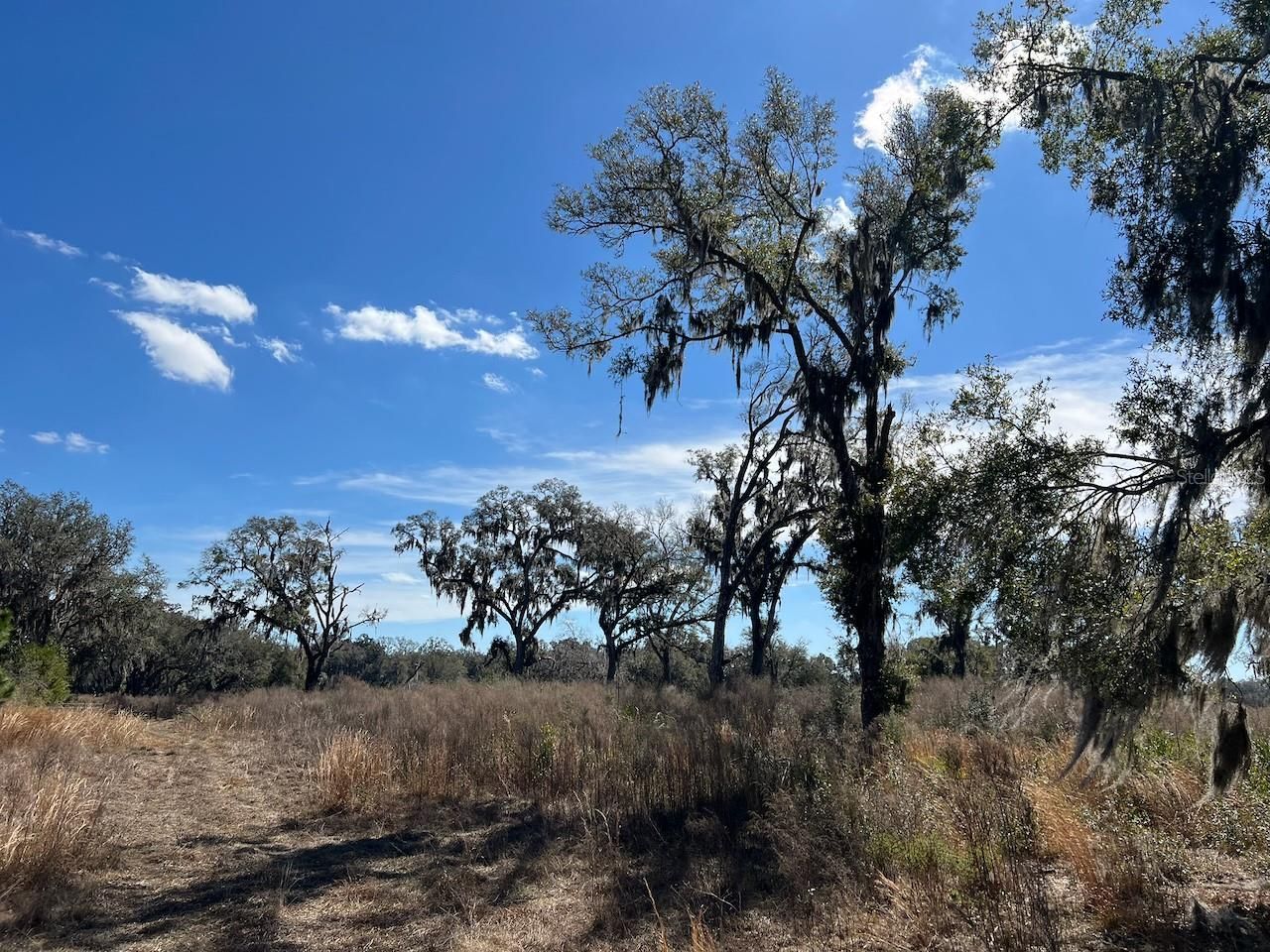 2351 NE Highway 41 , Williston, FL 32696 Photo