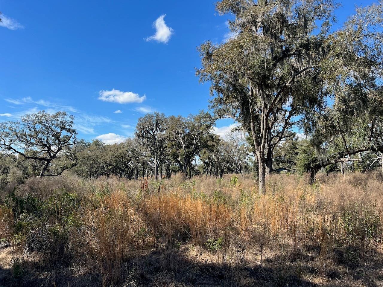 2351 NE Highway 41 , Williston, FL 32696 Photo