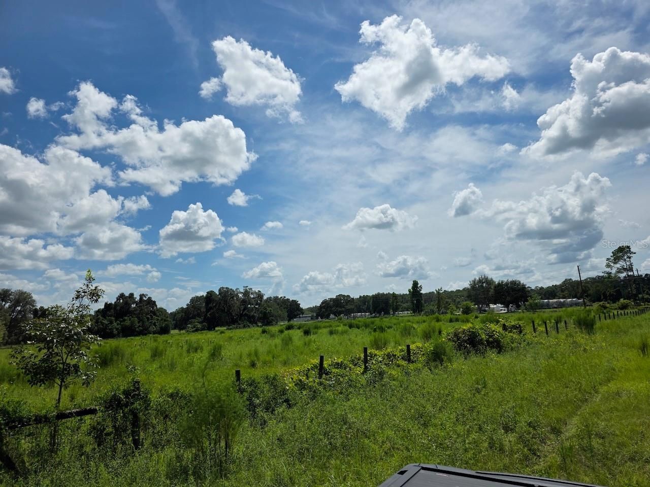 2351 NE Highway 41, Williston, FL 32696 Photo