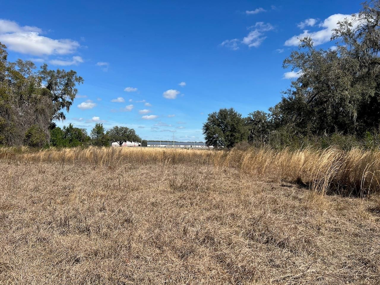 2351 NE Highway 41 , Williston, FL 32696 Photo