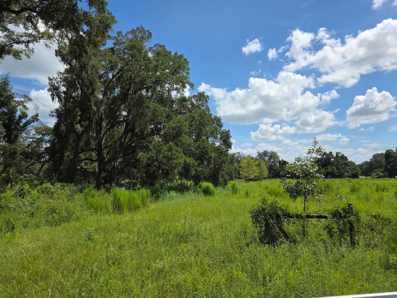 2351 NE Highway 41, Williston, FL 32696 Photo