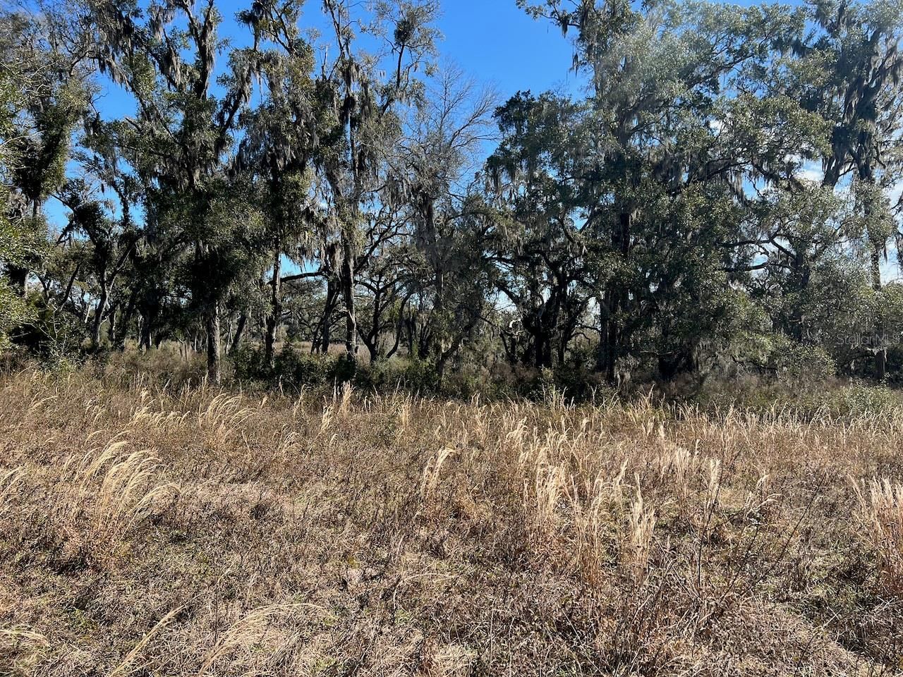 2351 NE Highway 41 , Williston, FL 32696 Photo