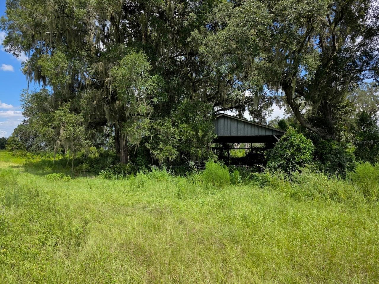 2351 NE Highway 41, Williston, FL 32696 Photo