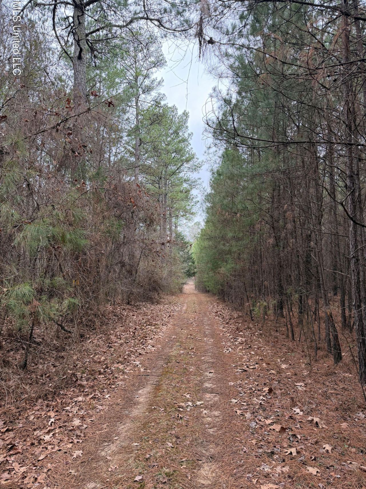 Bodka Valley Road, Scooba, MS 39358 Main Photo