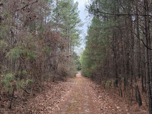 Bodka Valley Road, Scooba, MS 39358