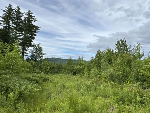 L52 Bridgton Road, Sweden, ME 04040