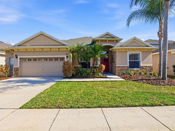 3235 GRASSGLEN PLACE, WESLEY CHAPEL, FL 33544