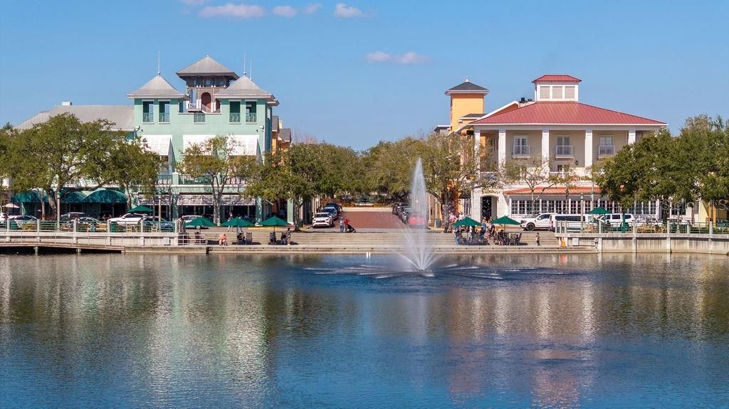 505 Longmeadow Street, Celebration, FL 34747 Photo