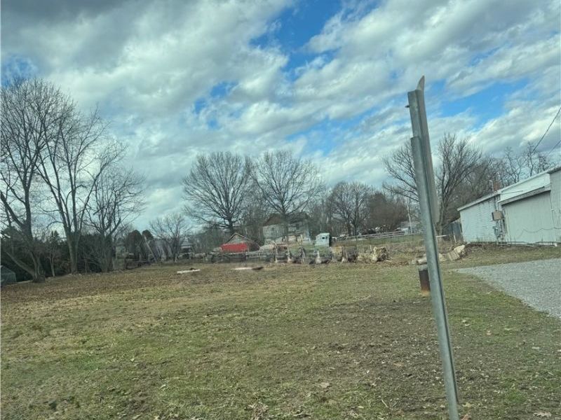 44972 Crestview Road, Columbiana, OH 44408 Photo 1