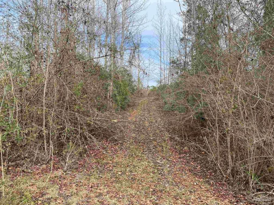 Property Image 41