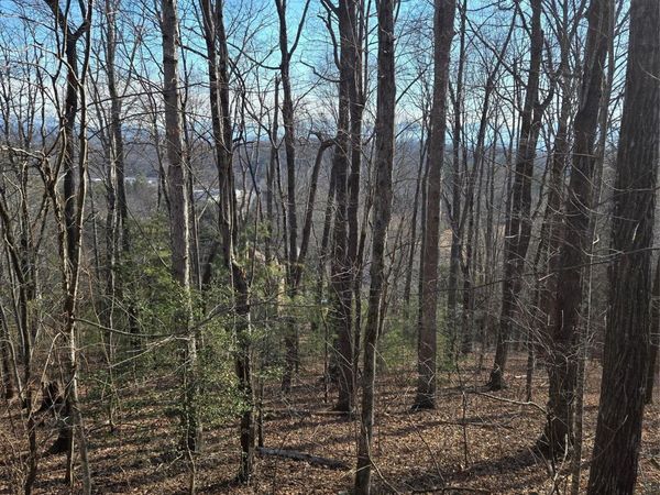 85 Shinnecock Drive, Mills River, NC 28759