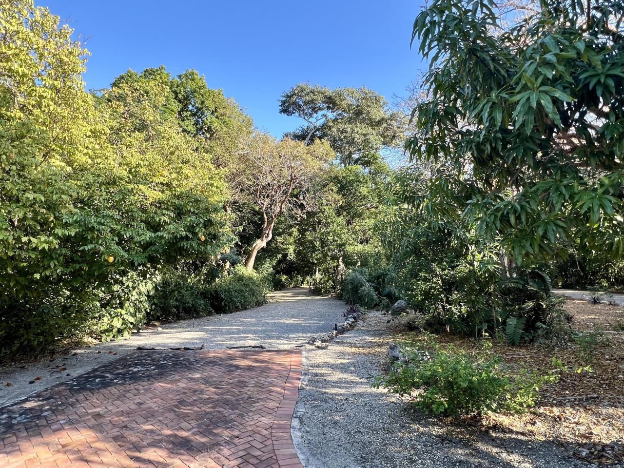 20 Avacado Street, Islamorada, FL 33036 Photo