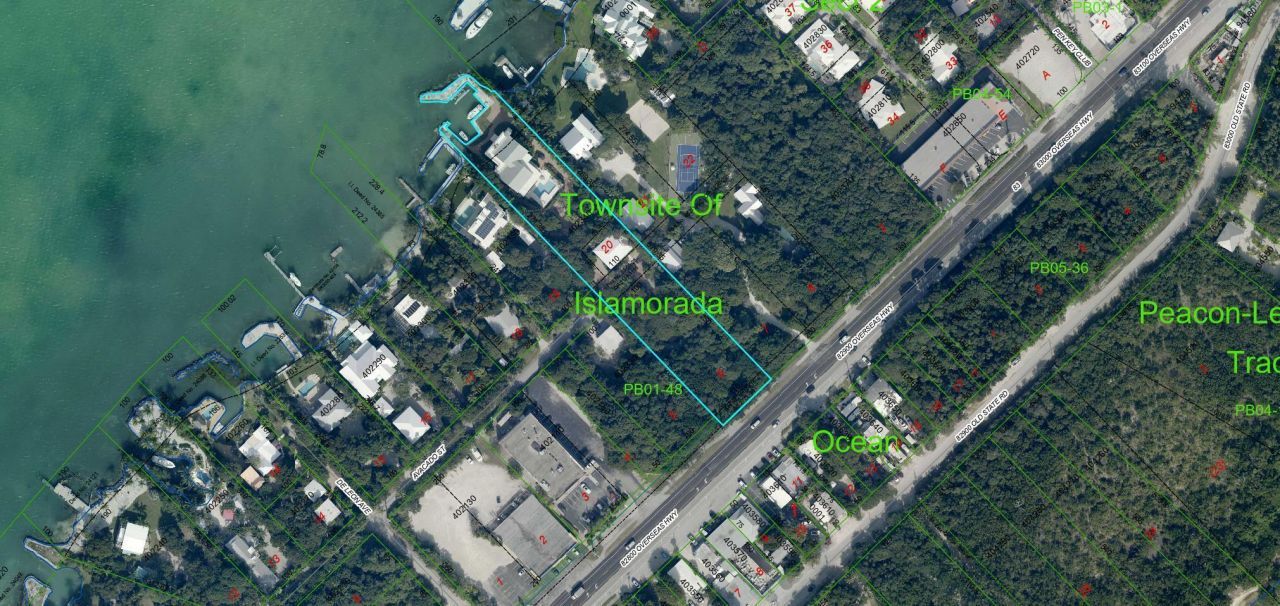 20 Avacado Street, Islamorada, FL 33036 Photo
