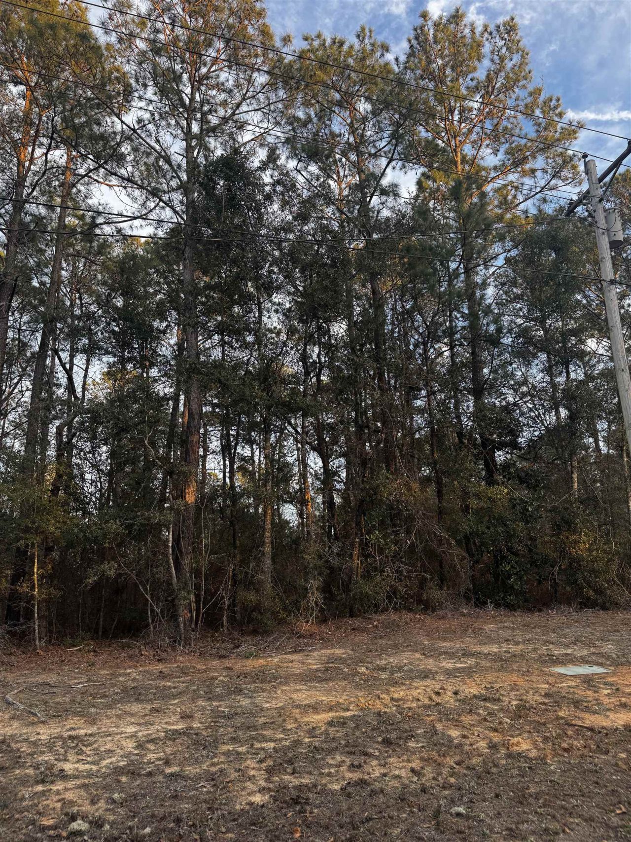 4563 South Island Rd. Photo 2