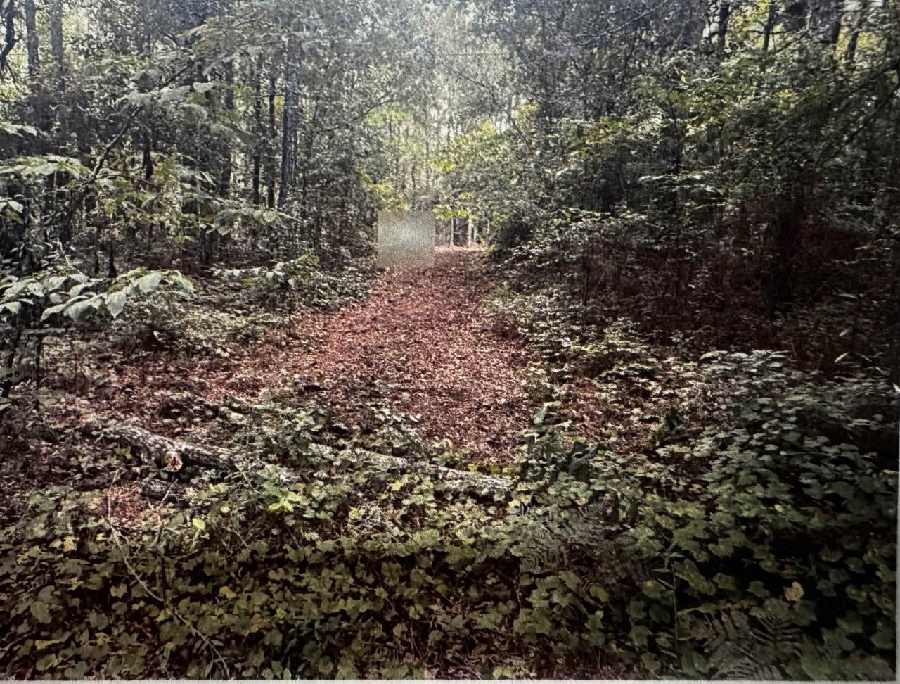 4563 South Island Rd. Photo 3