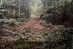 4563 South Island Rd. photo 4