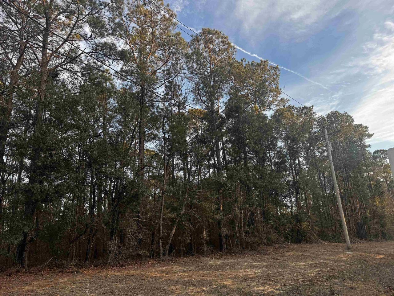 4563 South Island Rd. Photo 4