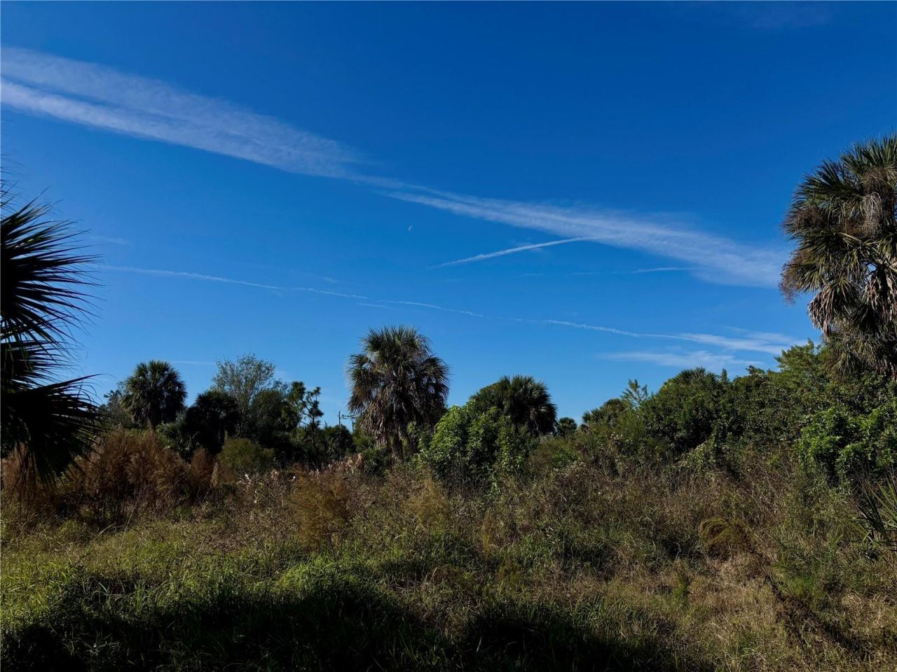 13359 Tolman Avenue, Port Charlotte, FL 33953 Photo