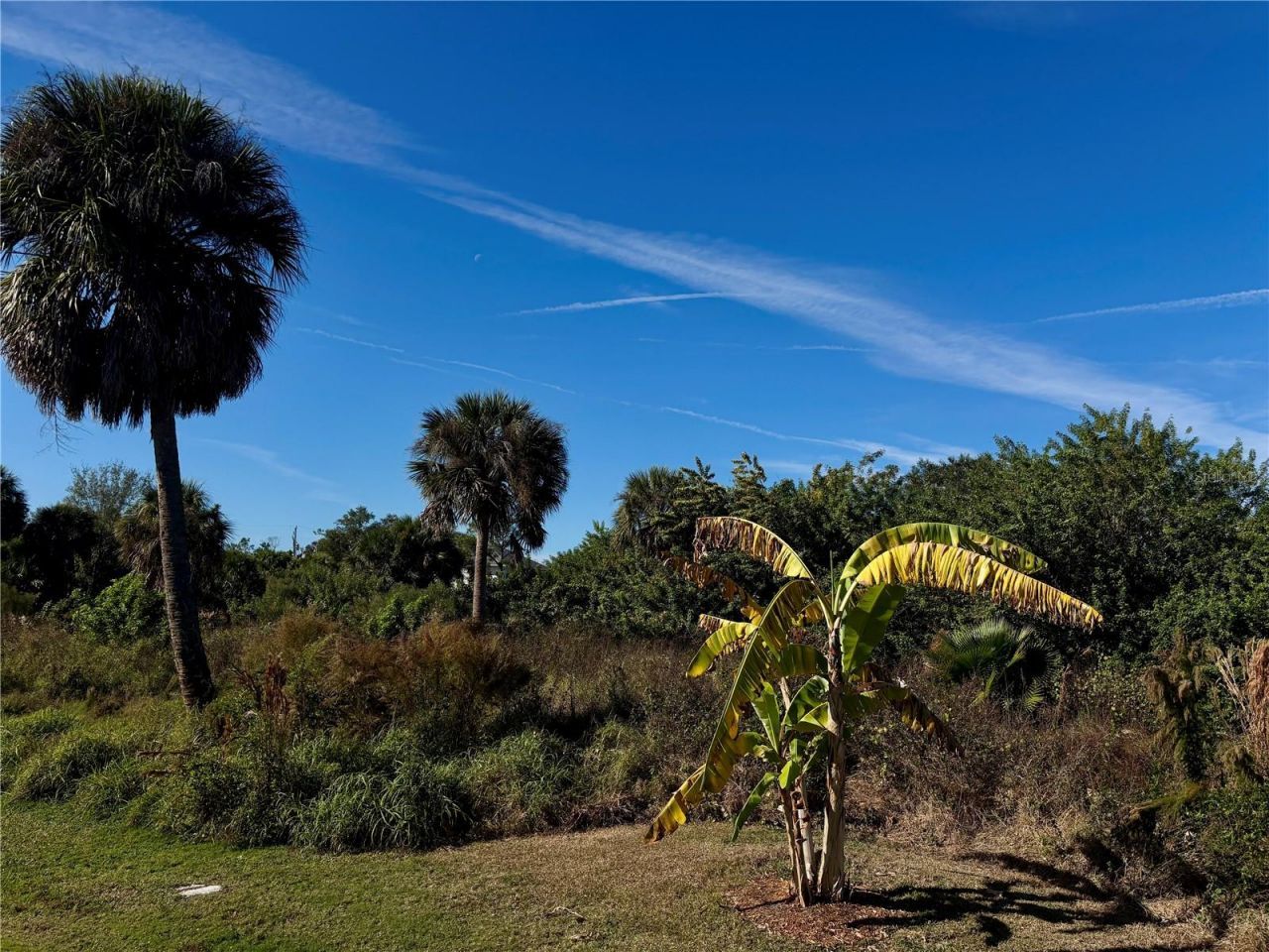 13359 Tolman Avenue, Port Charlotte, FL 33953 Photo
