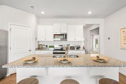 438 Tulip Poplar Drive photo 4