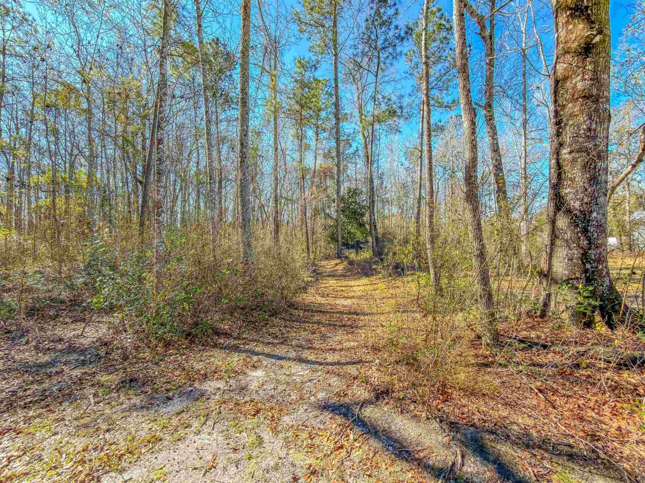 11963 NW Lake Mystic Lee Duggar Road, Bristol, FL 32321 Photo