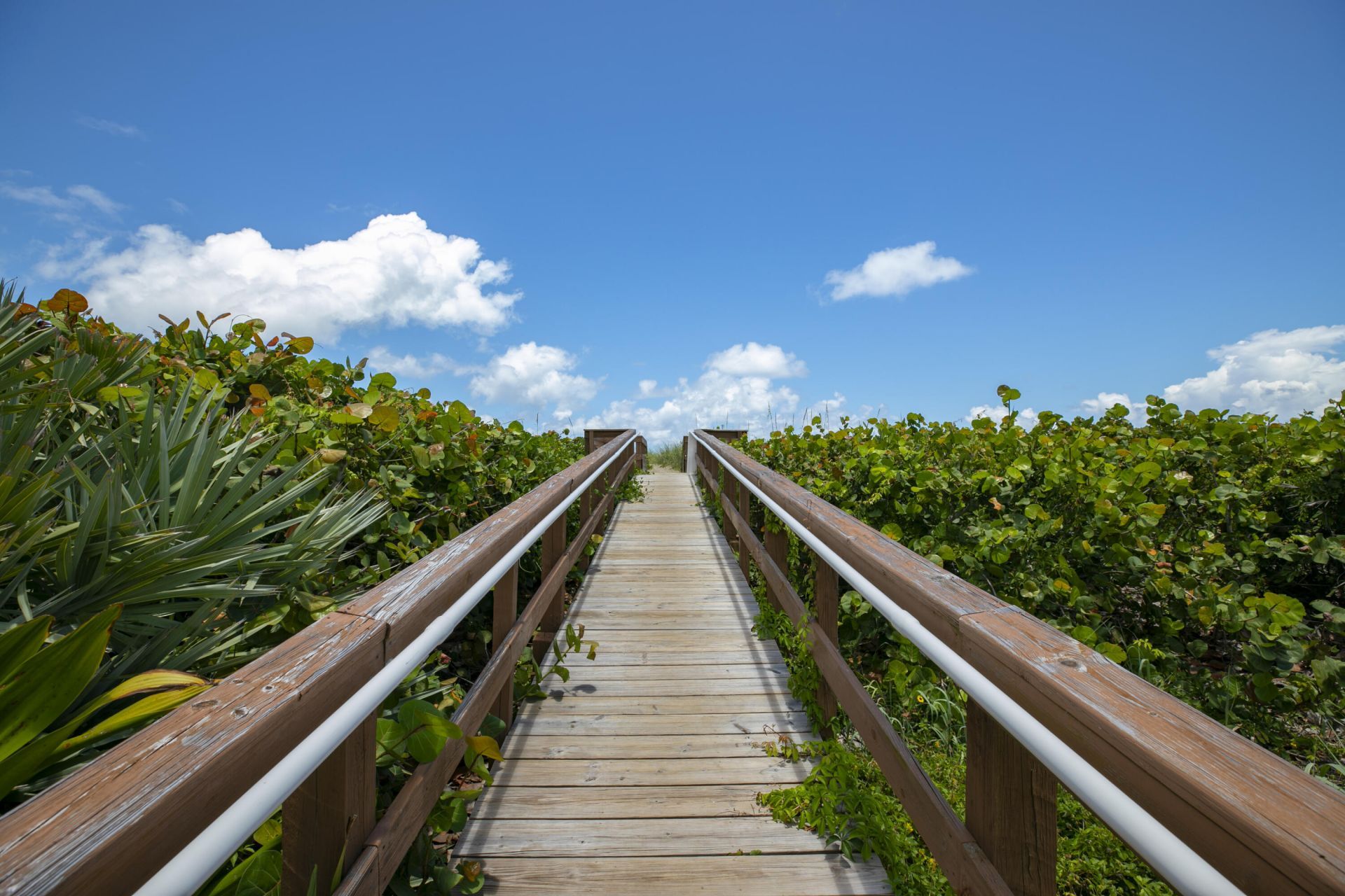 2491 NE Ocean Boulevard, Unit 106, Stuart, FL 34996 Photo
