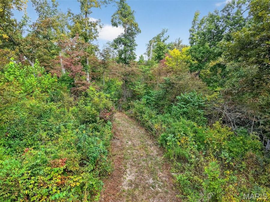 Property Image 62