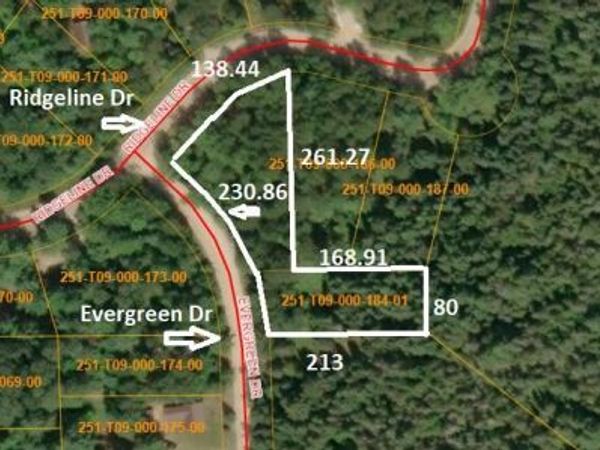 16844 Evergreen Drive, Wolverine, MI 49799