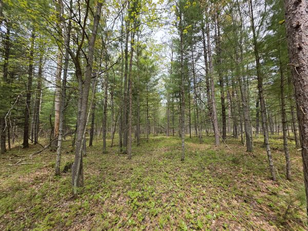 VL 20-29 Monroe Avenue, Grayling, MI 49738