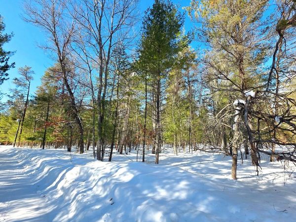 VL 20-29 Monroe Avenue, Grayling, MI 49738