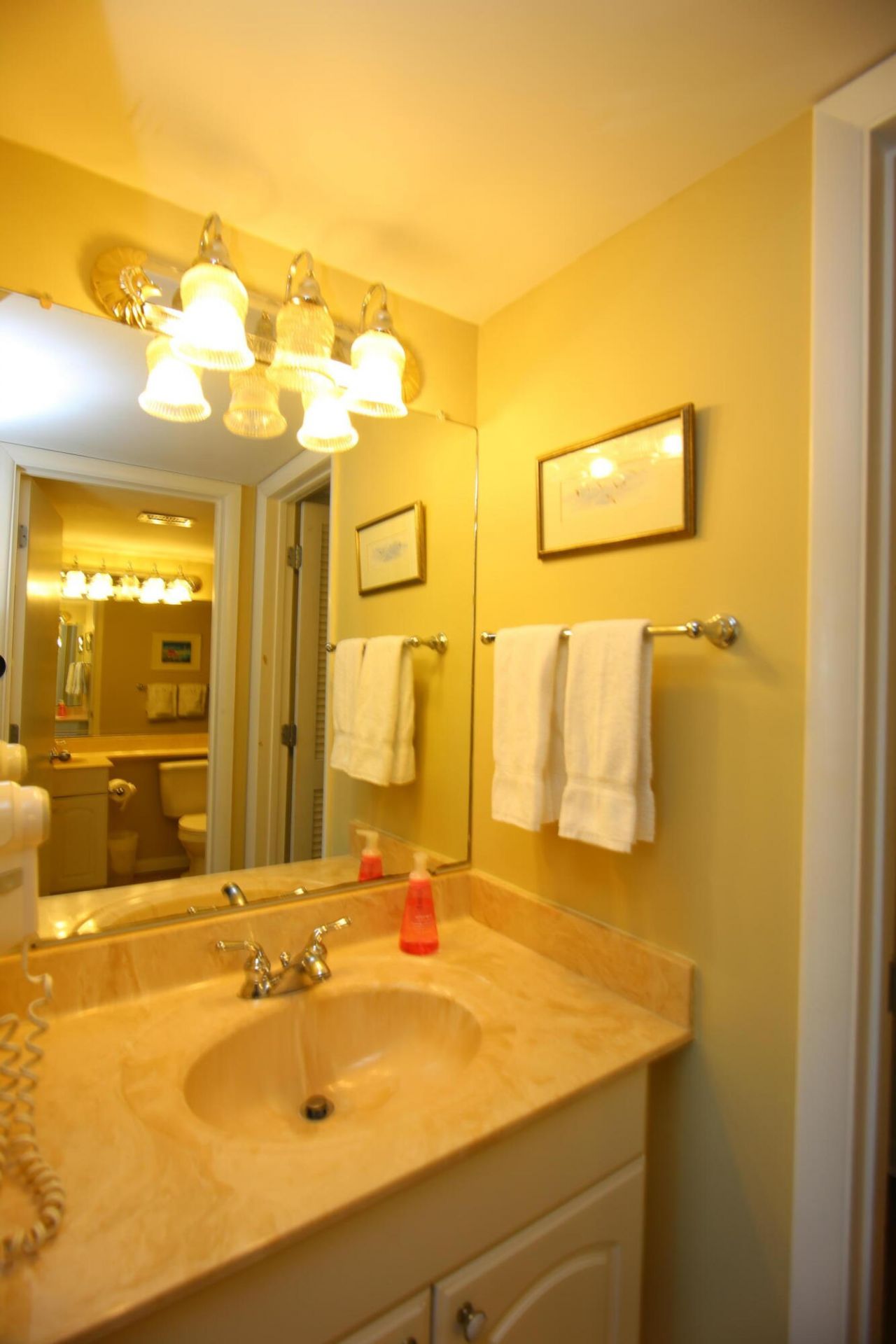 2927 Atrium Villa Drive Photo 16