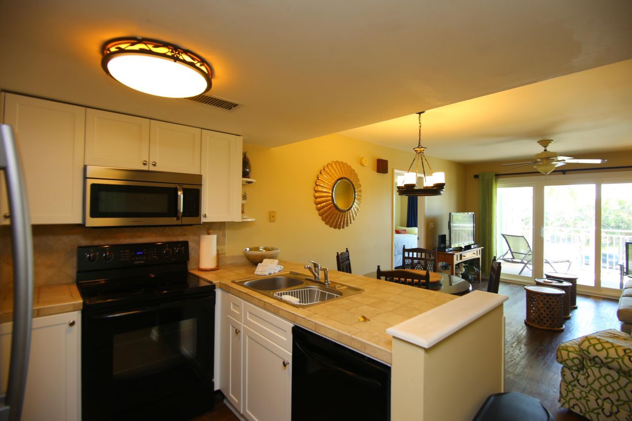 2927 Atrium Villa Drive Photo 5