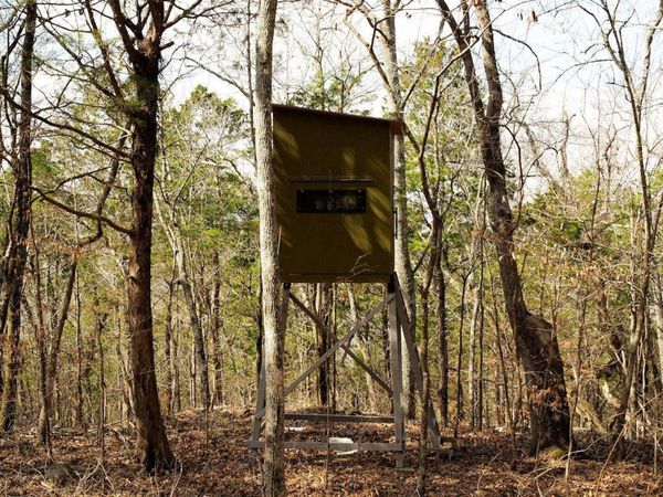 20.5 acres County Road 491, Stevenson, AL 35772