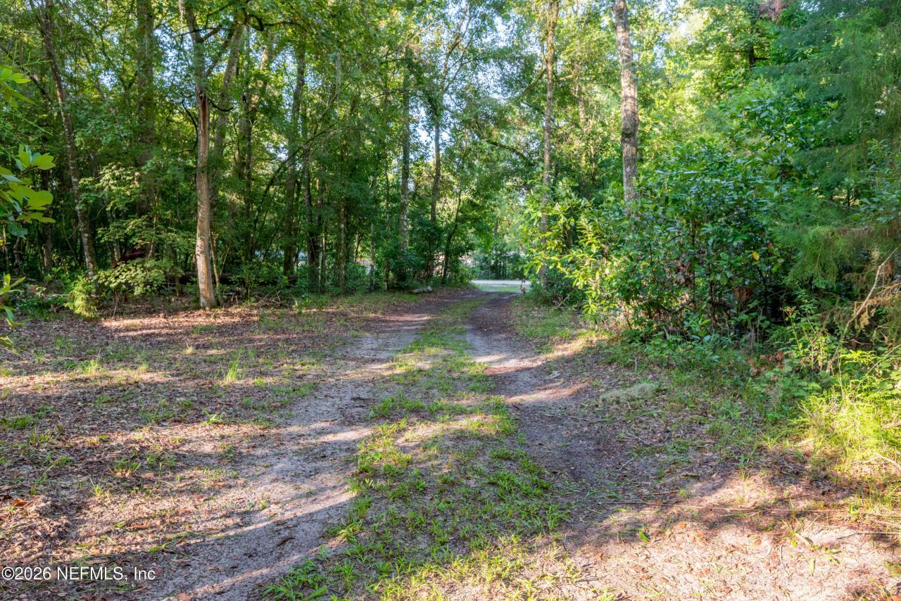 141 SW Longhorn Terrace, Fort White, FL 32038 Photo