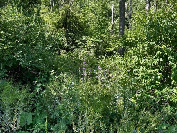 21177 N Valley Road, Kildeer, IL 60047