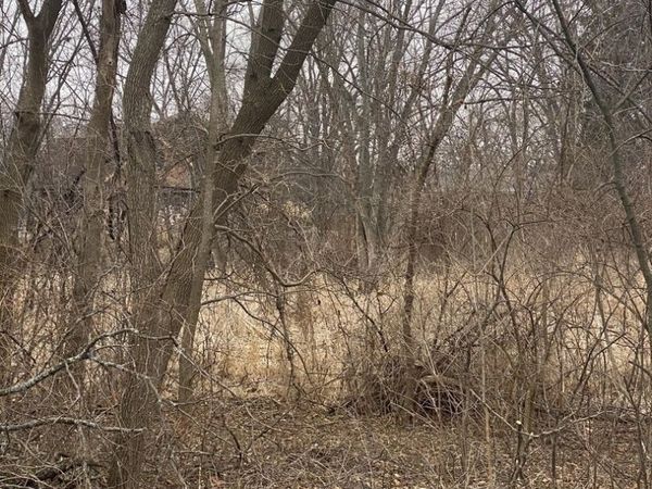 21177 N Valley Road , Kildeer, IL 60047