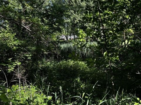 Main Photo