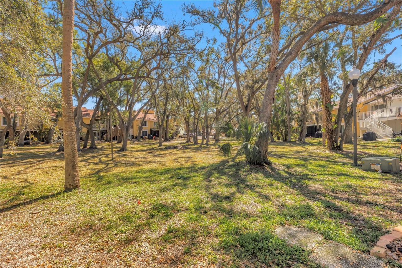 3620 41st Way S, Unit F, Saint Petersburg, FL 33711 Photo