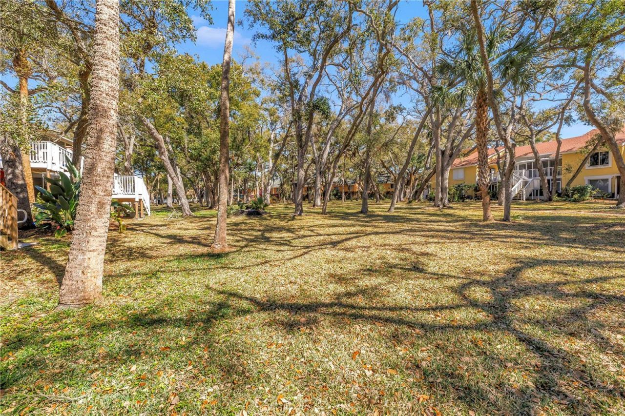 3620 41st Way S, Unit F, Saint Petersburg, FL 33711 Photo