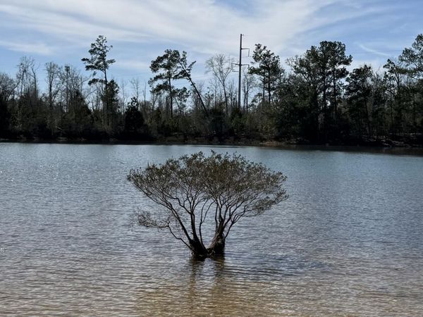 00 New Hope Road, Marianna, FL 32448