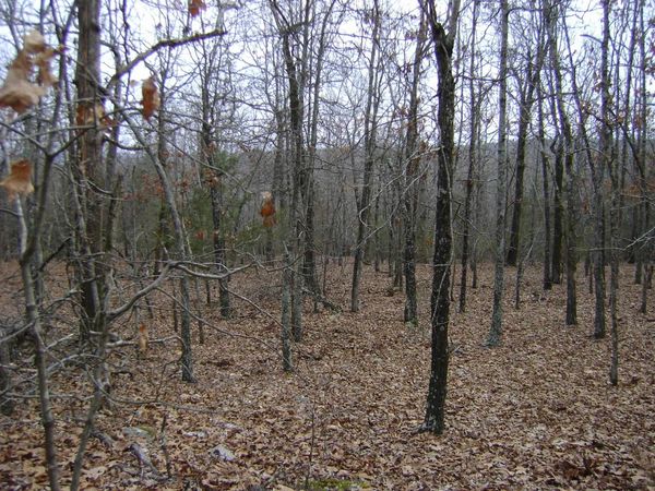 Kennedy Road , Ash Flat, AR 72513