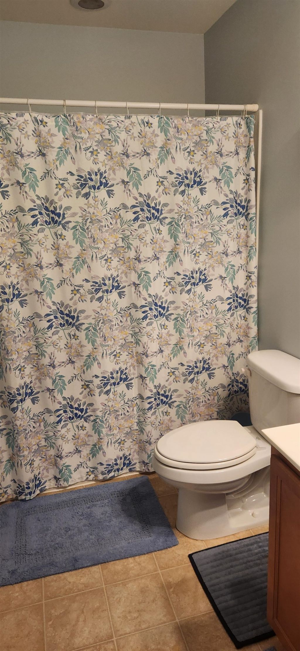 190 Olde Towne Way Photo 17