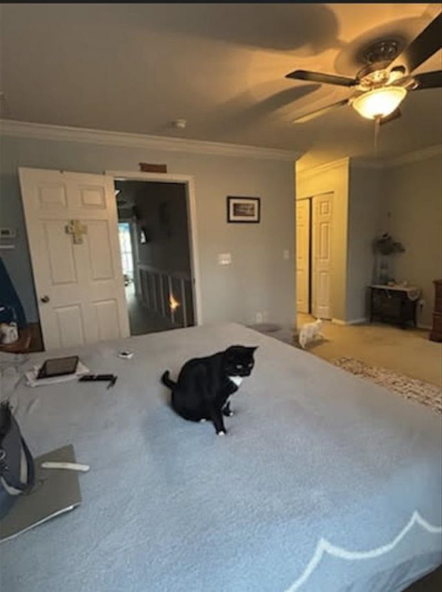 190 Olde Towne Way Photo 21