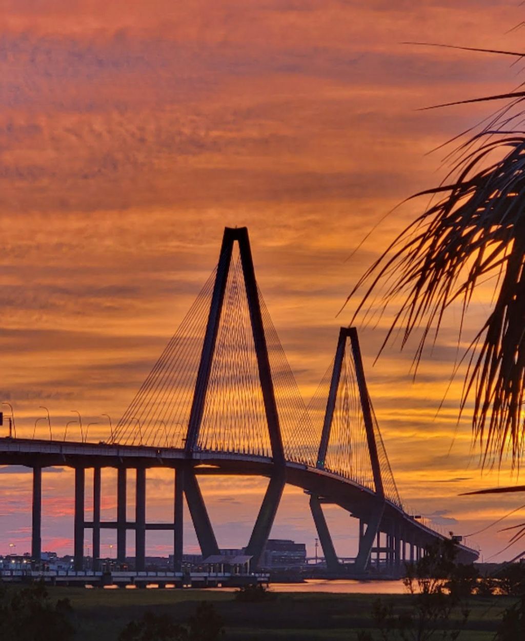 212 Cooper River Drive Photo 29