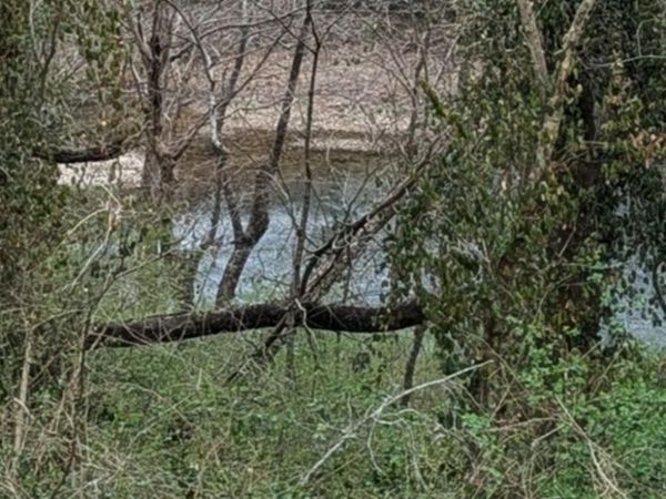 212 Bluff Street, McMinnville, TN 37110