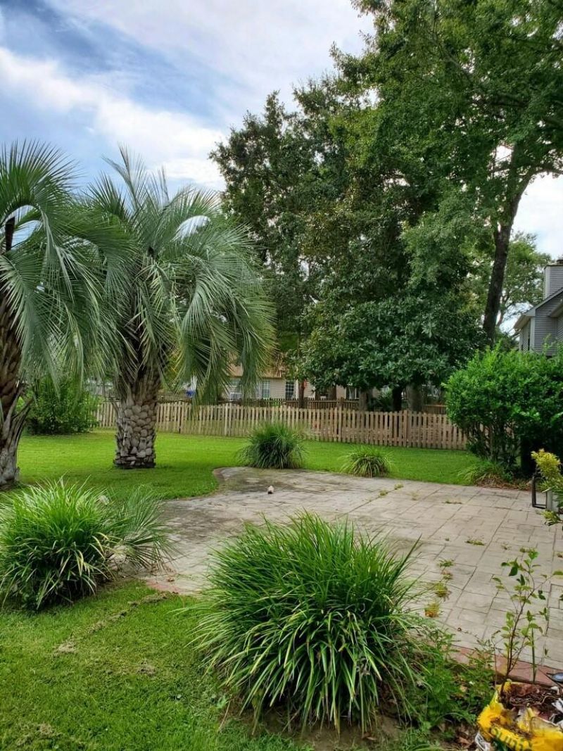 386 Jardinere Walk Photo 19